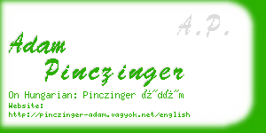 adam pinczinger business card